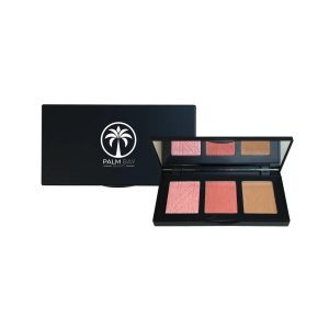 Palette de joues Pro