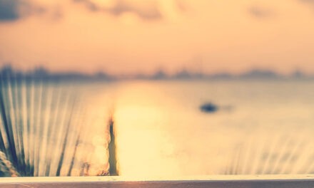 Comment les fragrances influencent l’humeur et la relaxation